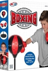 Boxing Floor Set with Gloves