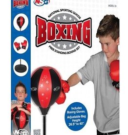 Boxing Floor Set with Gloves