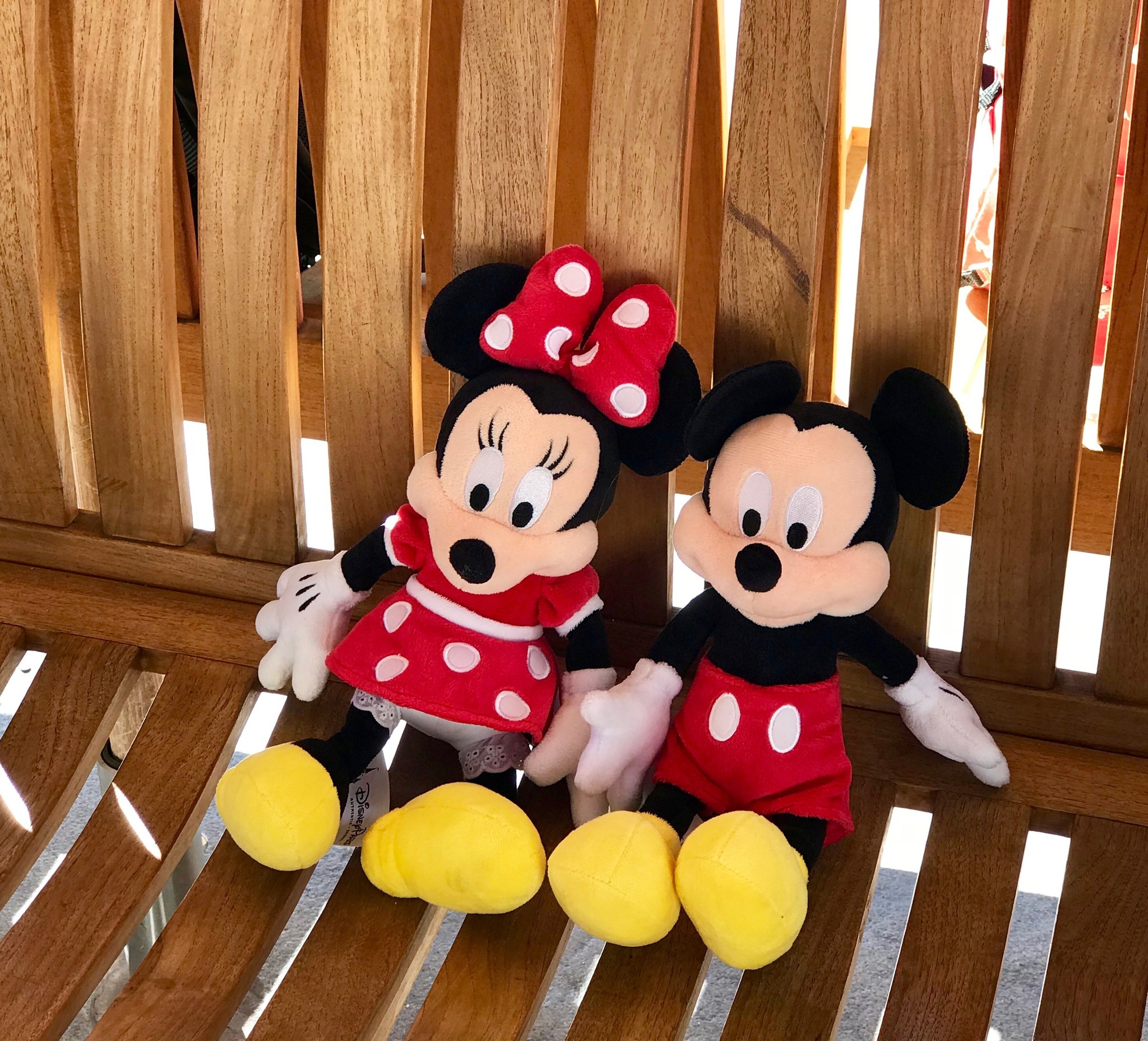 Pixie Dust, Mickey Ears and Knitting