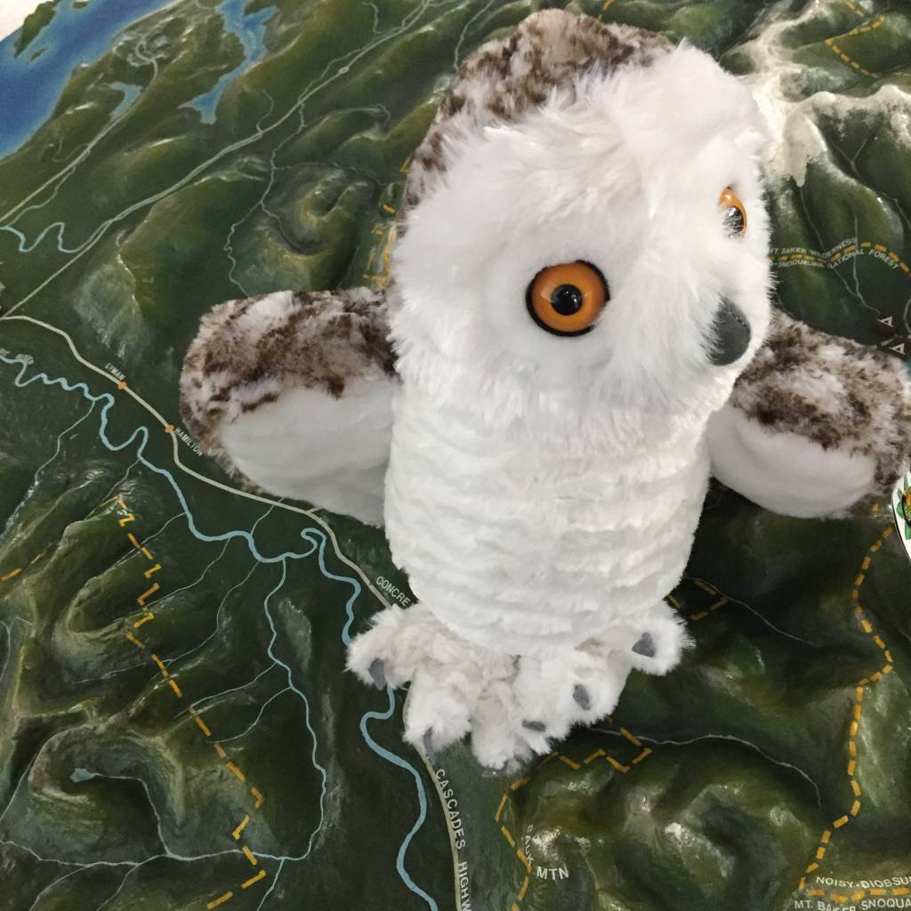 Stuffed animal snowy owl