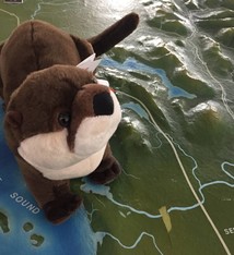 Stuffed animal river otter