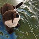 Stuffed animal river otter