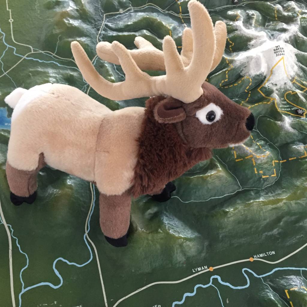 Stuffed animal elk