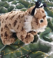 Stuffed animal lynx