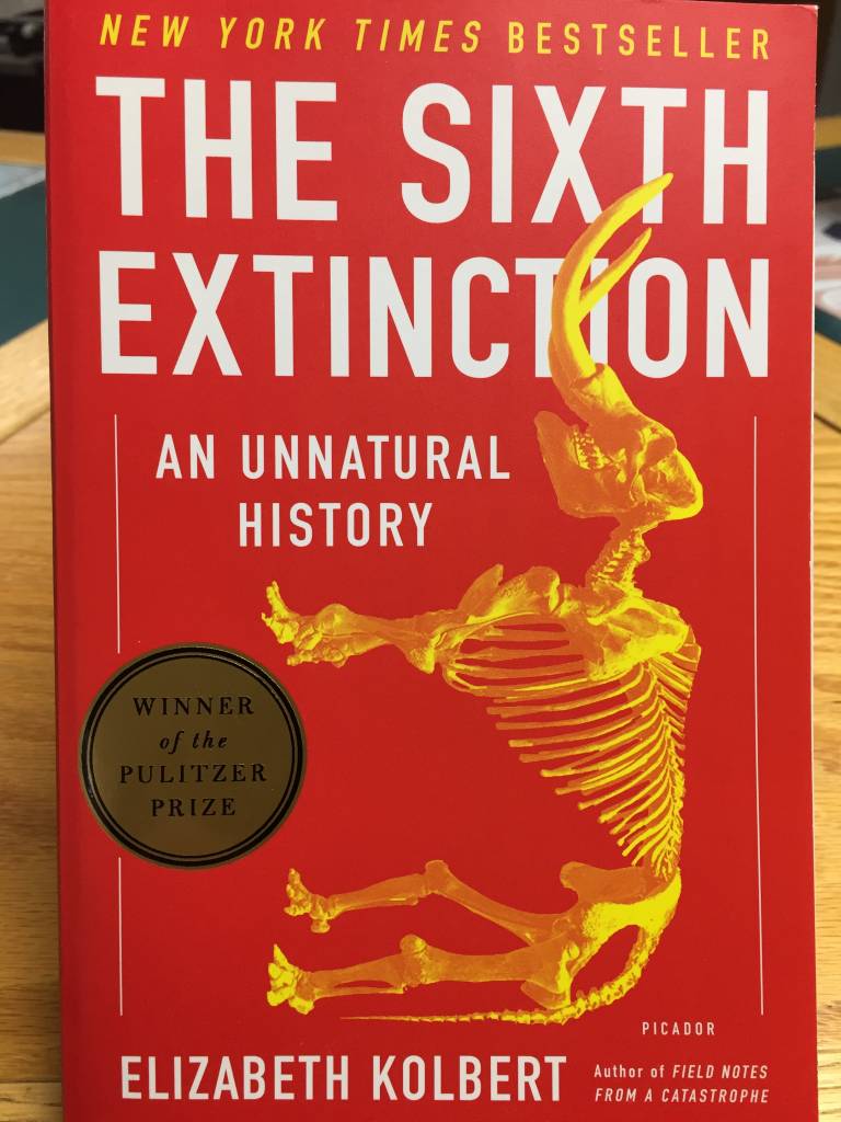 And Here We Are: Stories from The Sixth Extinction – Daylight Books