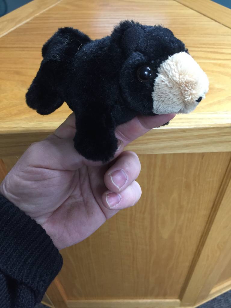 Finger puppet black bear