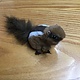 Finger puppet chipmunk