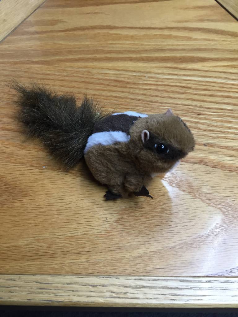 Finger puppet chipmunk