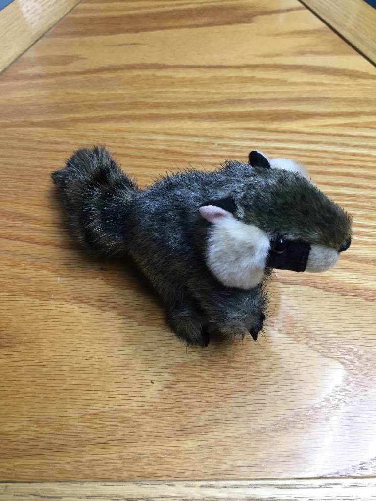 Finger puppet raccoon