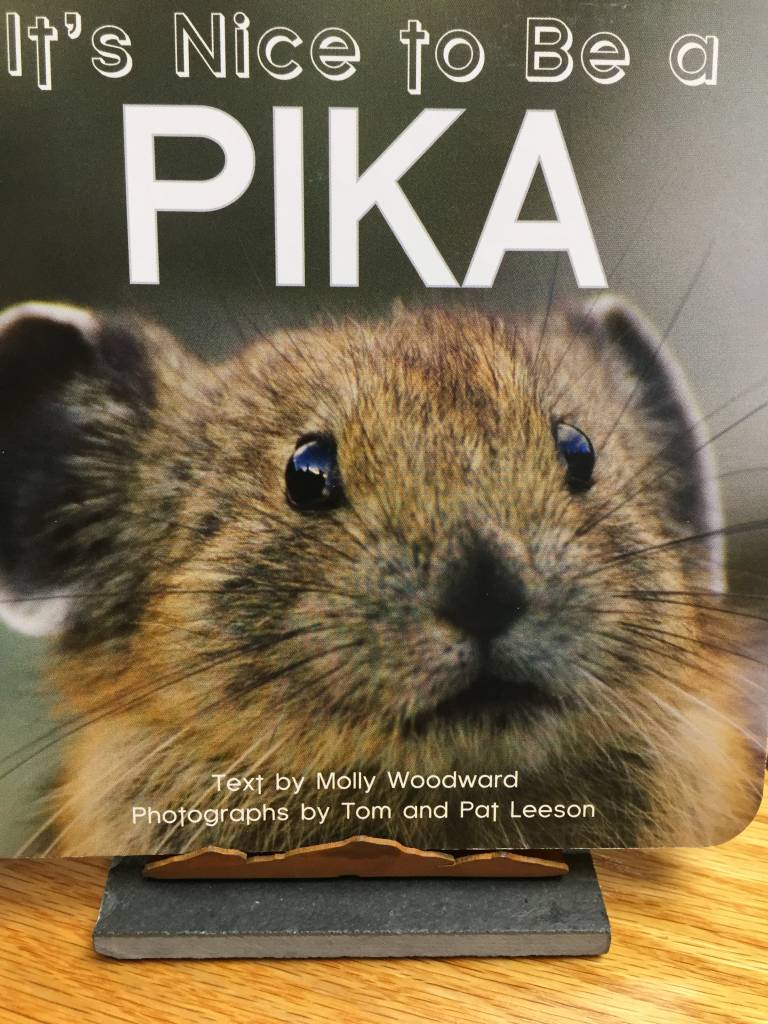 Nice to be a Pika