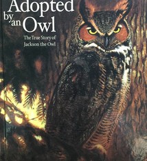 Adopted by An Owl