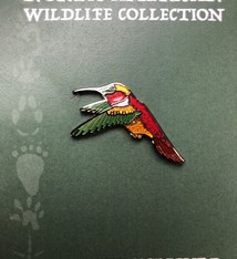 Pin Hummingbird