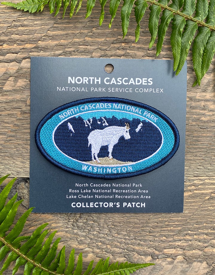Patch NCNP Oval