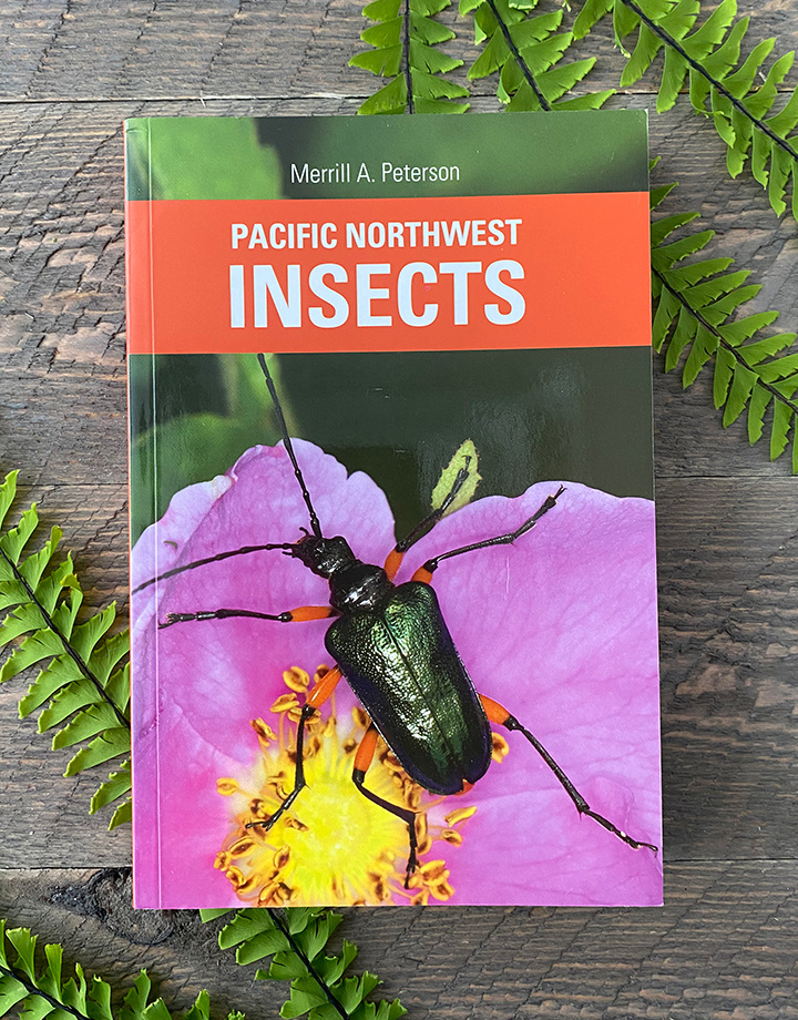 Pacific Northwest Insects