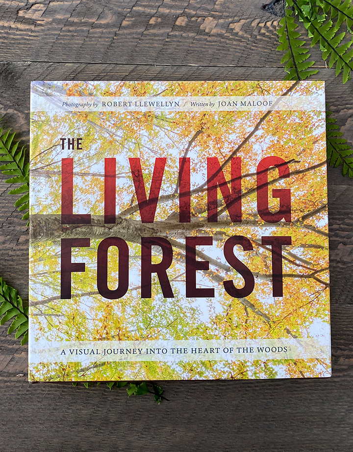 The Living Forest