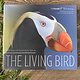 The Living Bird: 100 Years of Listening to Nature