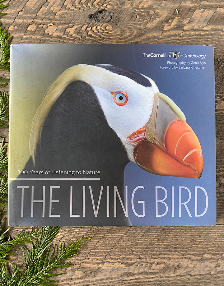 The Living Bird: 100 Years of Listening to Nature