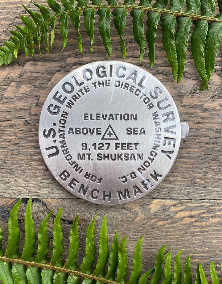 Paperweight Mt Shuksan