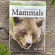 Playing cards Mammals of NW