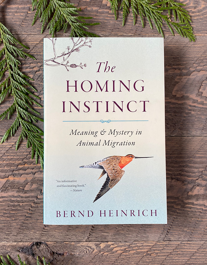 Homing Instinct