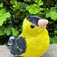 Singing bird goldfinch