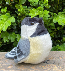 Singing bird chickadee