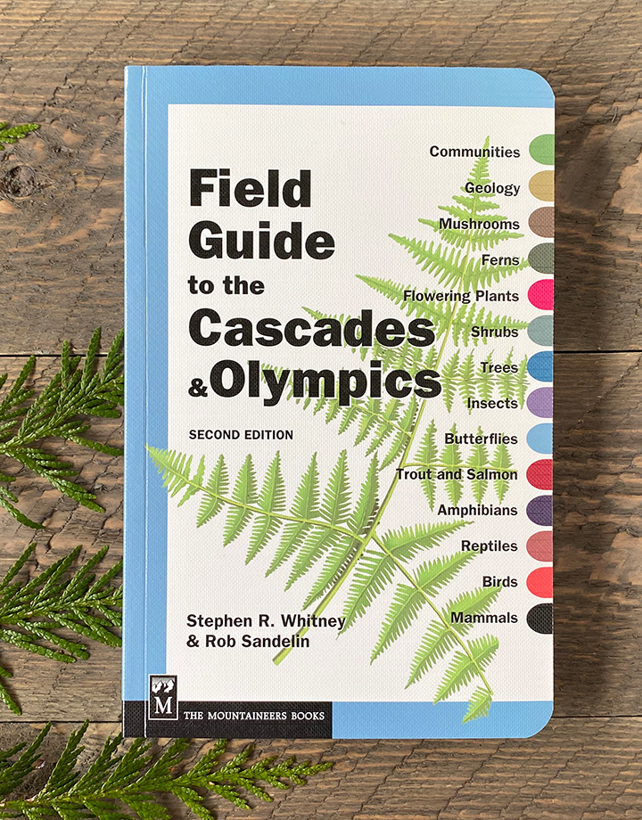 Field GT Cascades & Olympics