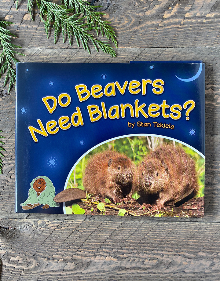 Do Beavers Need Blankets