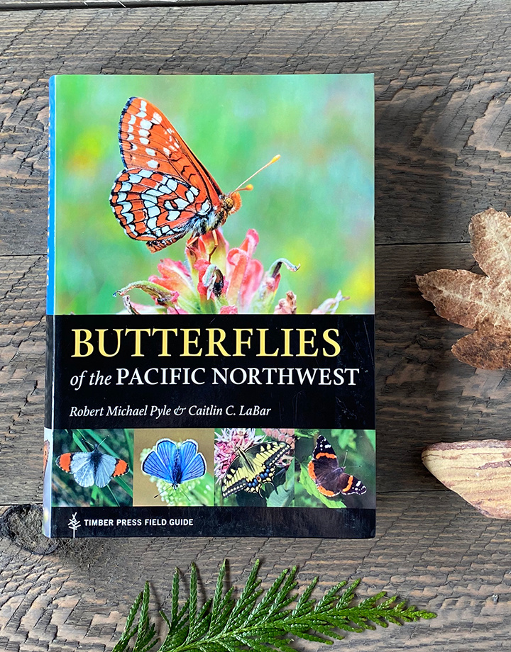 Butterflies of the PNW