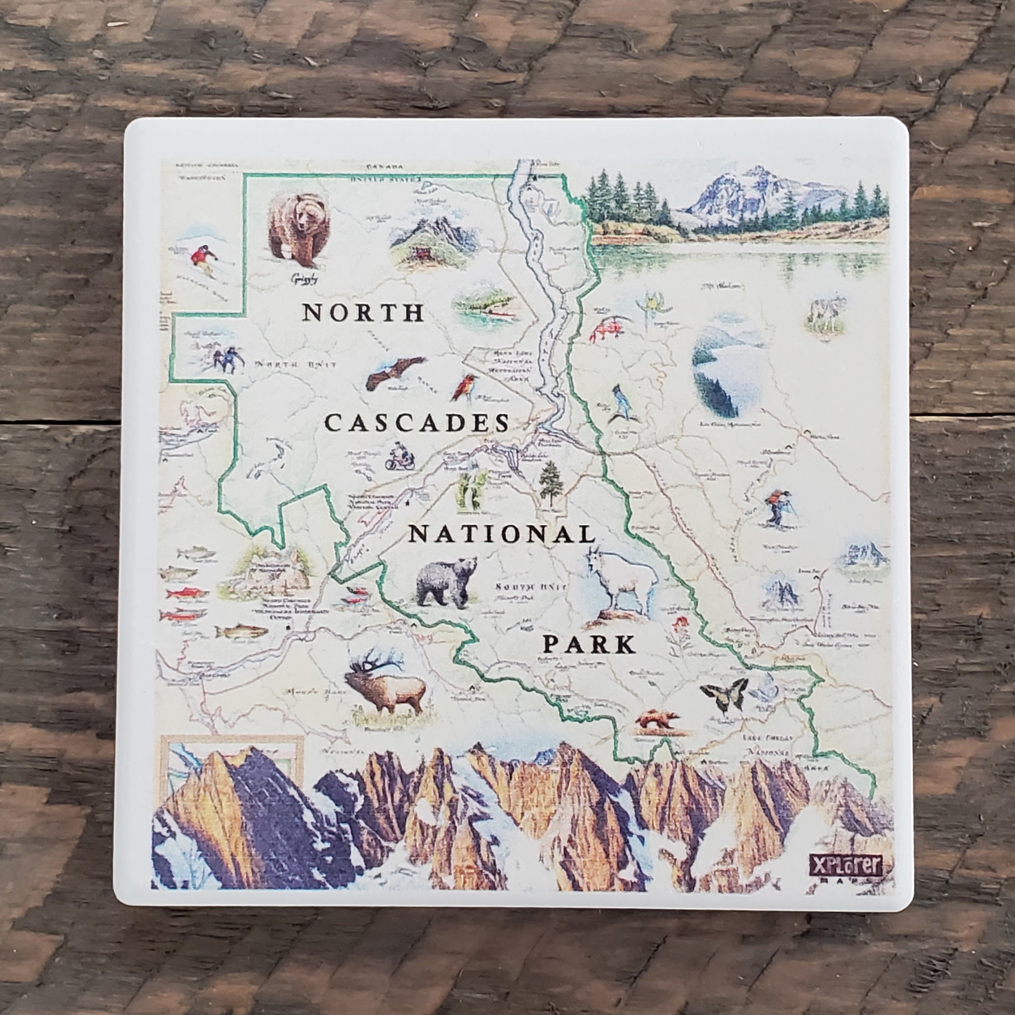 Coaster hand drawn map