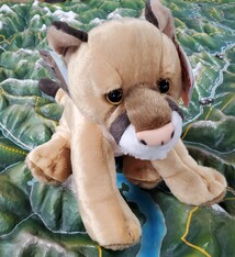 Stuffed animal mountain lion