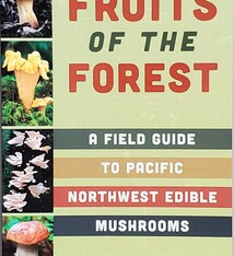 Fruits of the Forest