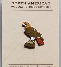 Pin Red Tailed Hawk perched