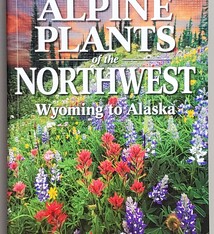 Alpine Plants of the NW