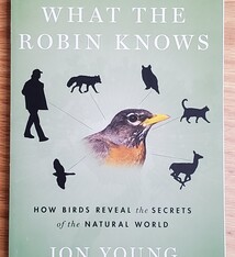 What the Robin Knows