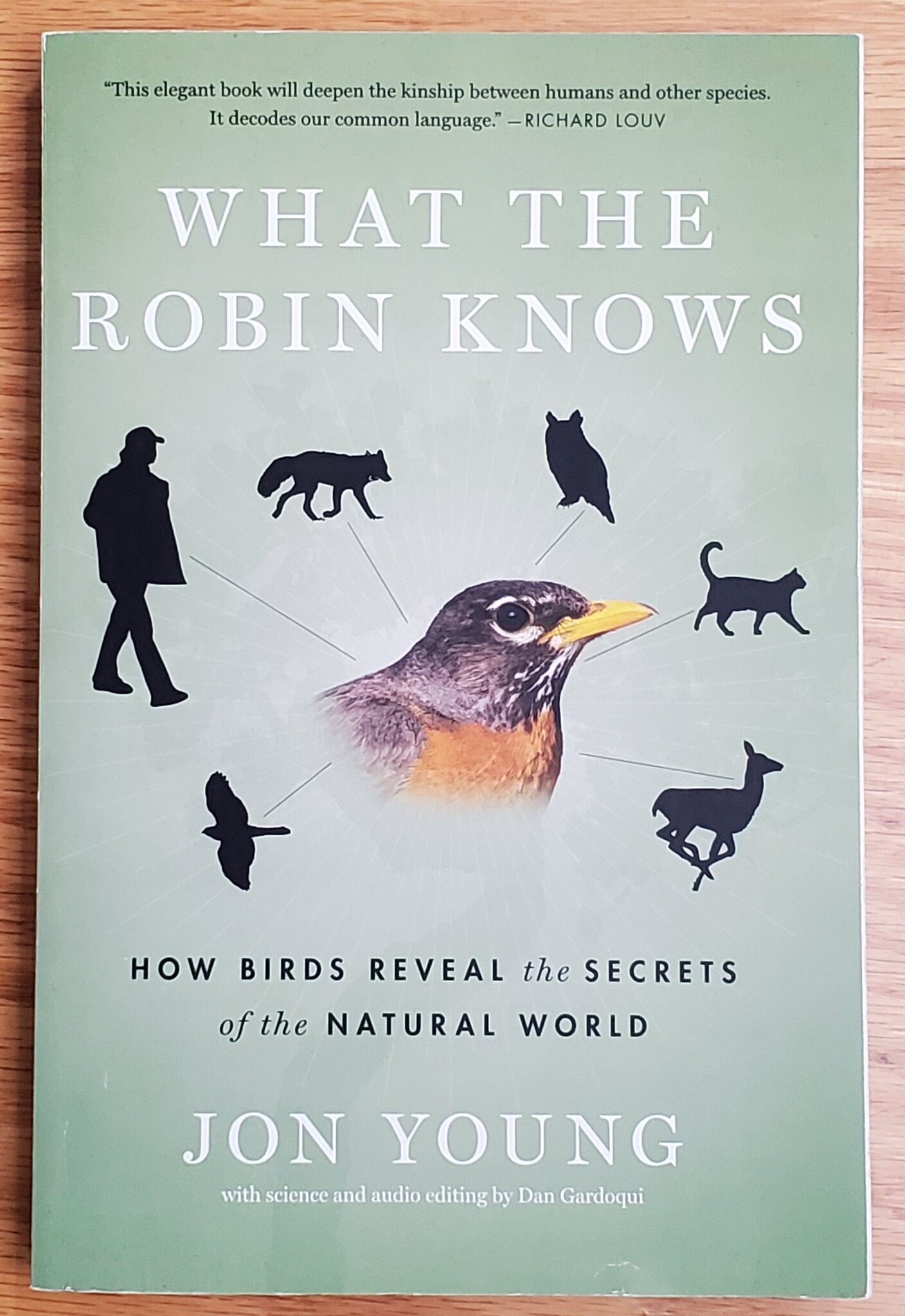 What the Robin Knows