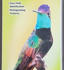 Hummingbirds of NA foldout