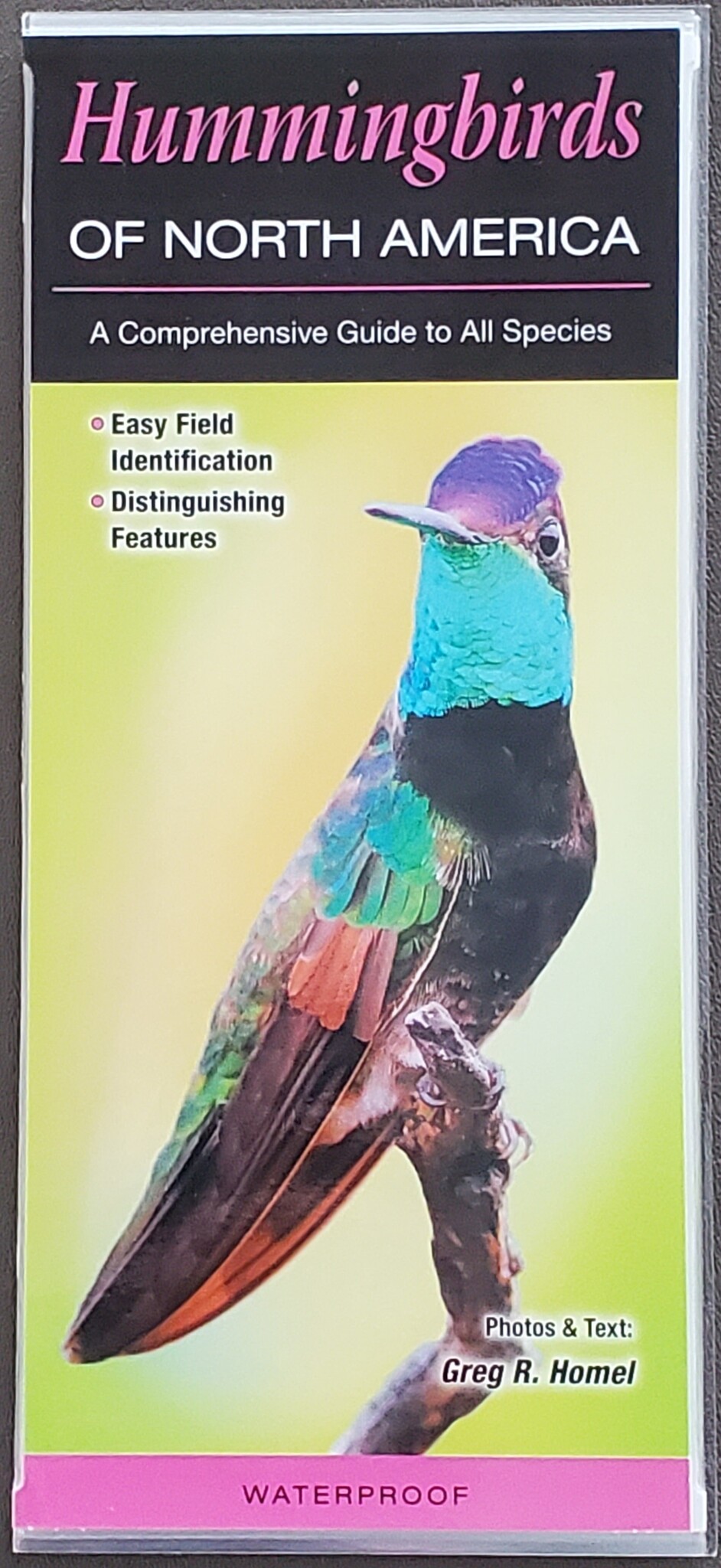 Hummingbirds of NA foldout