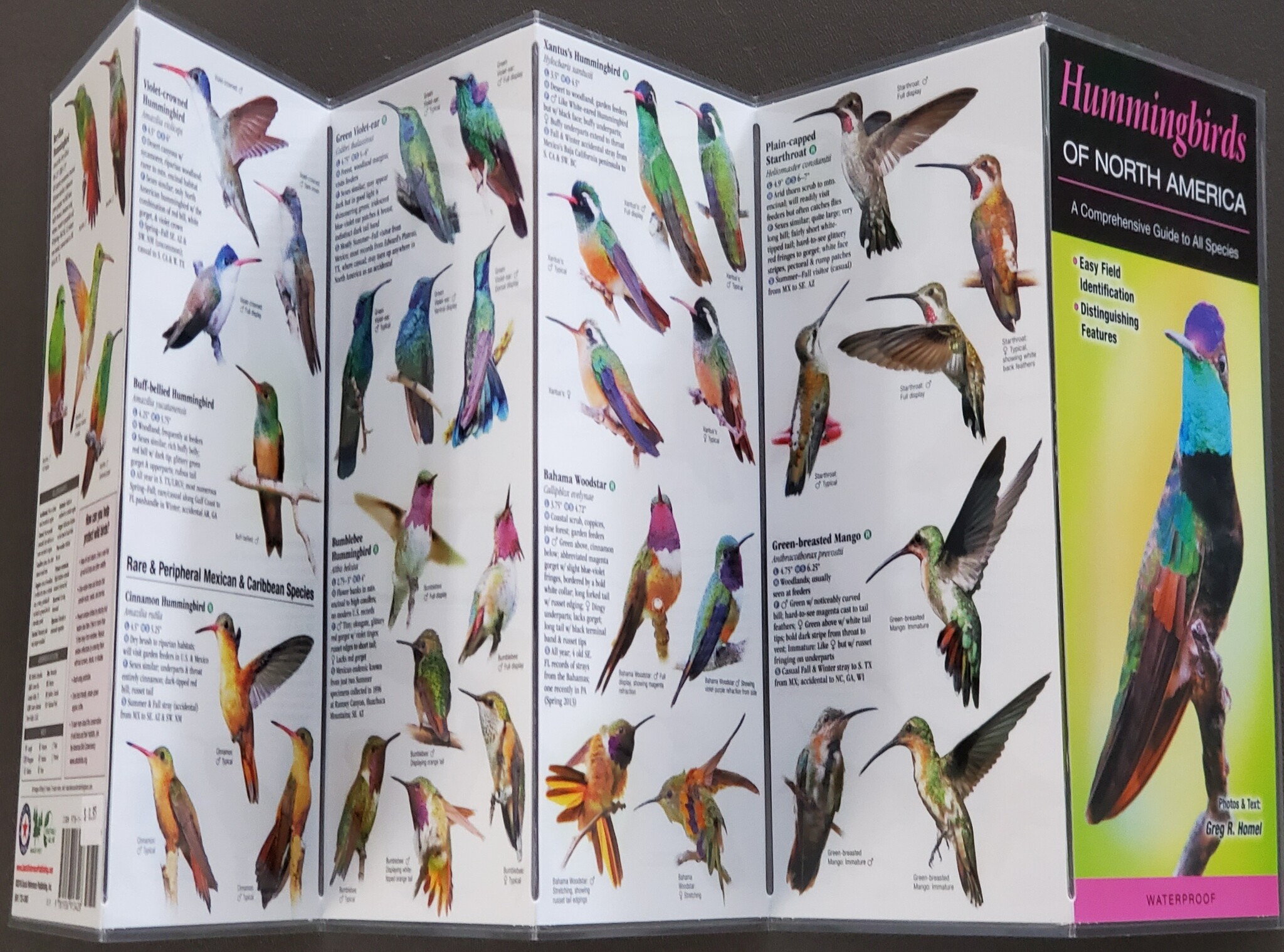Hummingbirds of NA foldout