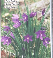 Wildflowers of WA's Cascades & Olympics foldout