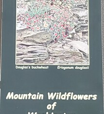 Mountain Wildflowers of WA fold out
