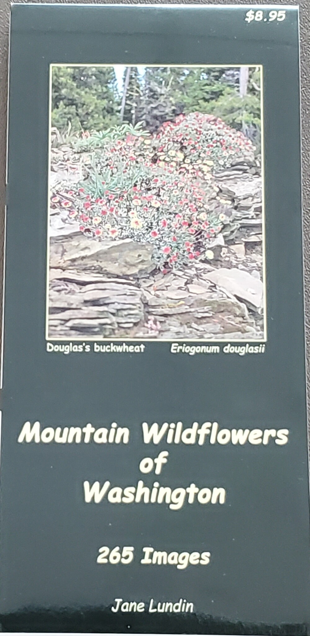 Mountain Wildflowers of WA fold out