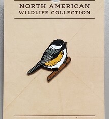 Pin Black Capped Chickadee