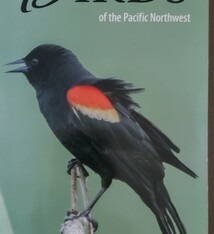 Field GT Birds of PNW fold out