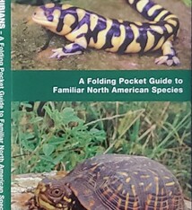 Reptiles & Amphibians PN