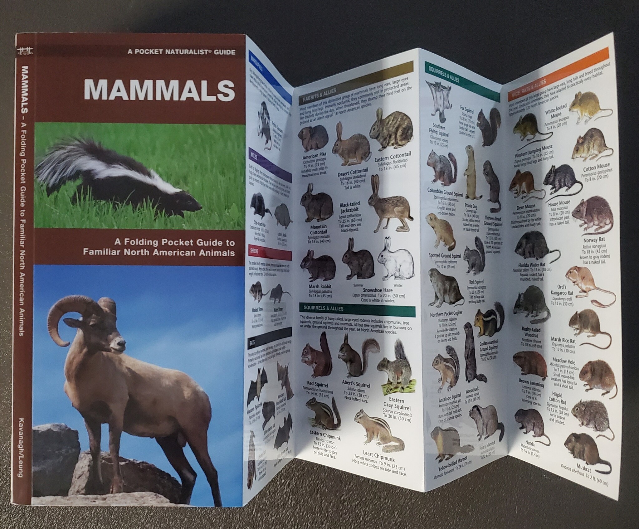Mammals PN