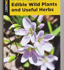 Edible Wild Plants & Useful Herbs