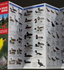 WA State Birds PN