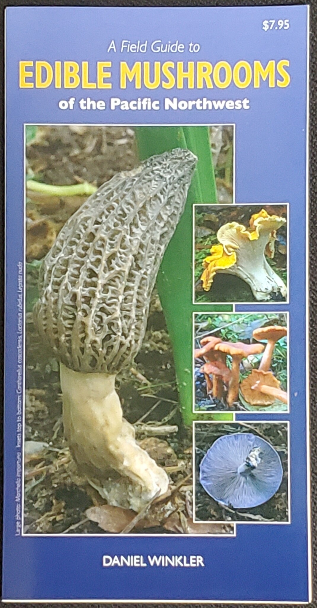 Field GT Edible Mushrooms PNW fold out