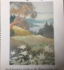 Celebrating Wildflowers